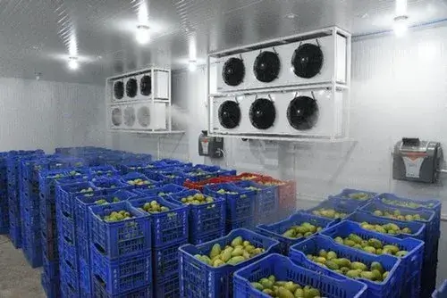 Fruit ripening room